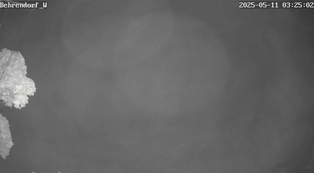 Wetterbild 3:30 Uhr